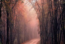 梅开二度:法国队长姆巴佩vs黄潜个人集锦.