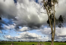 海星体育官网：[NBA]库里20分 残阵掘金终结勇士七连胜.