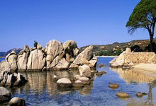 拉皮尼亚进球 10人巴塞客场力挫本菲卡.